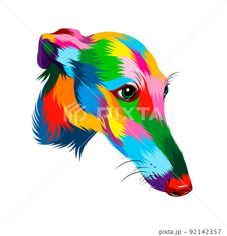 Abstract greyhound dog head portrait from multicolored paints. Dog muzzle Abstract greyhound dog head portrait from multicolored paints. Dog muzzle 92142357