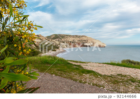 Tropical coast, beach Tropical coast, beach 92144666
