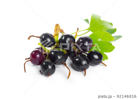 Berries black currant with green leaf. Fresh fruit, isolated on white background. Berries black currant with green leaf. Fresh fruit, isolated on white background. 92146816