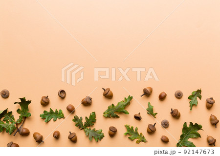 Branch with green oak tree leaves and acorns on colored background, close up top view Branch with green oak tree leaves and acorns on colored background, close up top view 92147673
