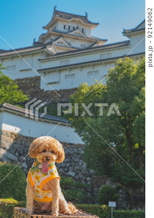 姫路城と犬 姫路城と犬 92149062