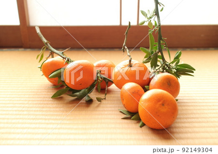 畳の上のたくさんのミカン 92149304
