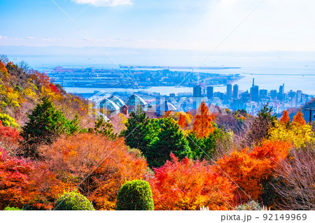 布引ハーブ園の紅葉と神戸の街並 92149969