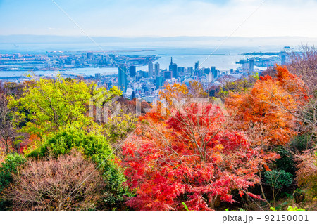 布引ハーブ園の紅葉と神戸の街並 92150001