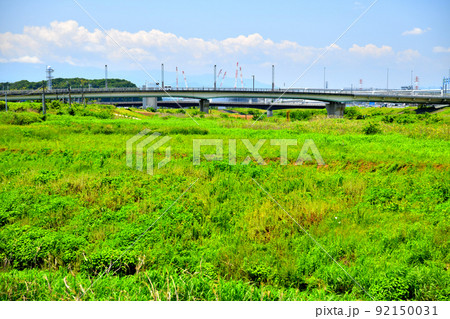 新横浜大橋、亀甲橋／鶴見川方面を望む(神奈川県横浜市)【2022.5】 92150031