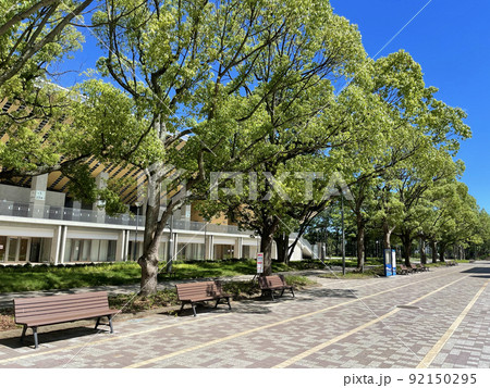 大井ふ頭中央海浜公園スポーツの森 東京都品川区八潮 大井ふ頭中央海浜公園スポーツの森 東京都品川区八潮 92150295