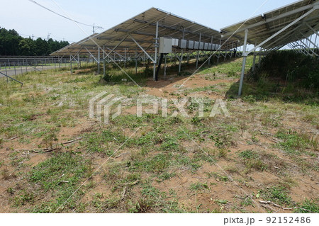 草刈り後の太陽光発電所 草刈り後の太陽光発電所 92152486