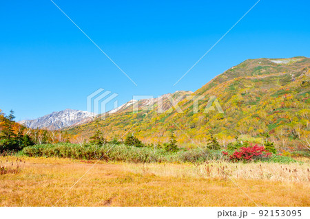 栂池自然園（秋） 92153095