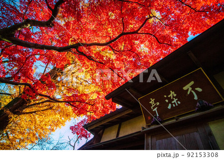 小江戸川越の秋　紅葉の中院　不染亭 92153308