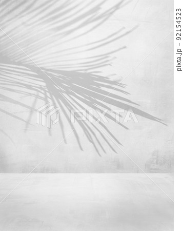 壁とヤシの葉の影 92154523