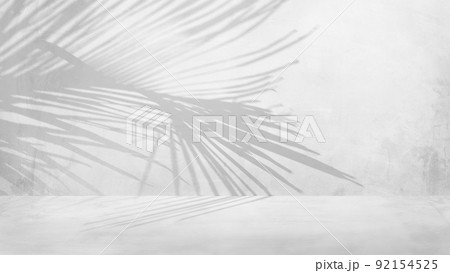 壁とヤシの葉の影 92154525
