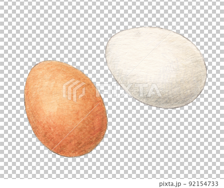 白色和棕色雞蛋水彩鉛筆插圖背景透明 92154733