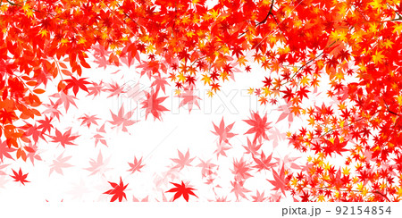 紅葉　もみじ　秋　背景  92154854
