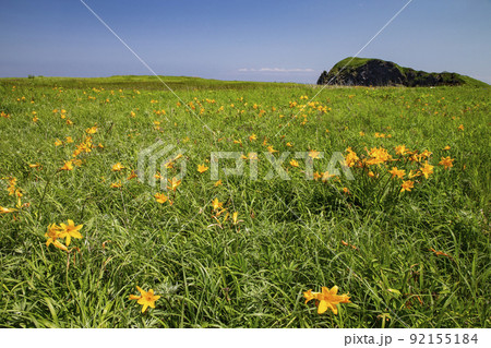 富士野園地 富士野園地 92155184