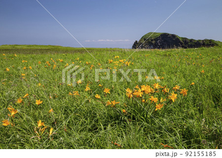 富士野園地 富士野園地 92155185