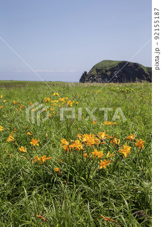 富士野園地 富士野園地 92155187
