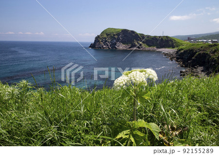 富士野園地 富士野園地 92155289