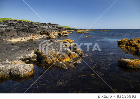 利尻の海岸 利尻の海岸 92155992