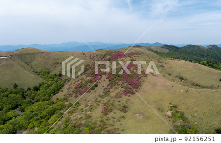 大川嶺のツツジ（愛媛県久万高原町） 92156251