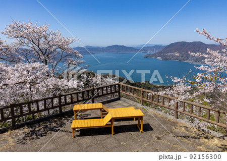 積善山山頂の桜（愛媛県岩城島） 92156300