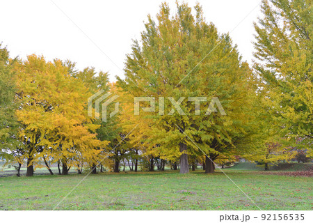 長砂公園へ行きました　＃21 92156535