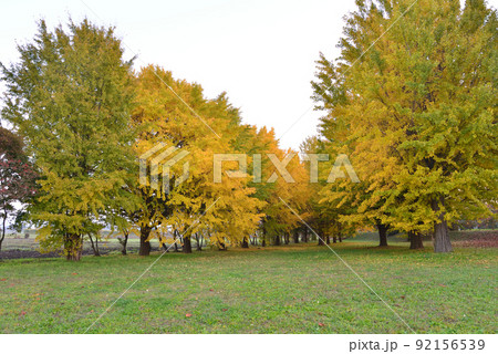 長砂公園へ行きました #24 長砂公園へ行きました #24 92156539