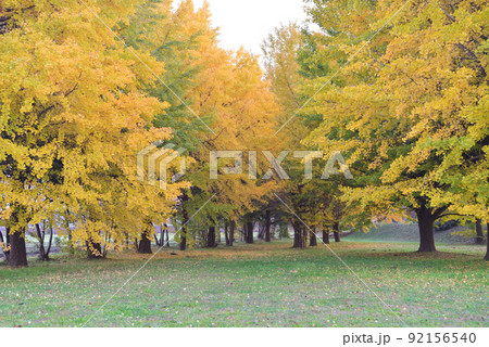 長砂公園へ行きました #25 長砂公園へ行きました #25 92156540