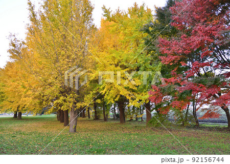 長砂公園へ行きました #38 長砂公園へ行きました #38 92156744