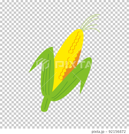 生のとうもろこし 92156872