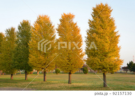 長砂公園へ行きました　＃59 92157130