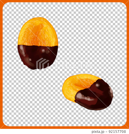 手繪水彩巧克力覆蓋的干杏插圖 01 92157708