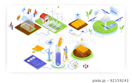 Farming industry, vector isometric illustration. Smart greenhouse, Iot. Genetically modified wheat. Agricultural drone. 92159243