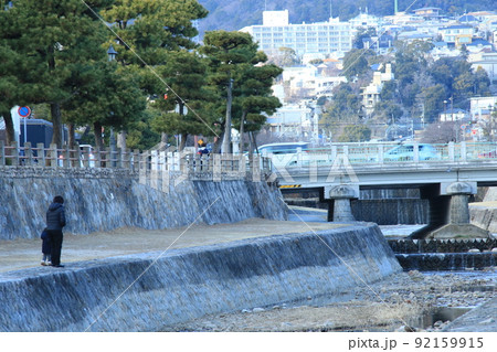 日本の街中を流れる川の風景 兵庫県芦屋市芦屋川の松並木 日本の街中を流れる川の風景 兵庫県芦屋市芦屋川の松並木 92159915