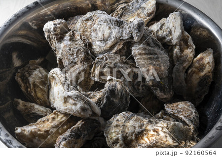 新鮮で美味しい牡蠣 92160564