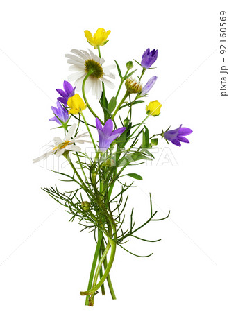 Wild meadow flowers in a summer bouquet isolated on white Wild meadow flowers in a summer bouquet isolated on white 92160569