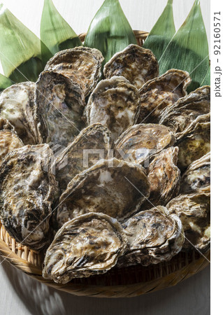 新鮮で美味しい牡蠣 92160571