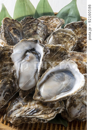 新鮮で美味しい牡蠣 新鮮で美味しい牡蠣 92160586