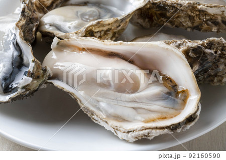 新鮮で美味しい牡蠣 92160590