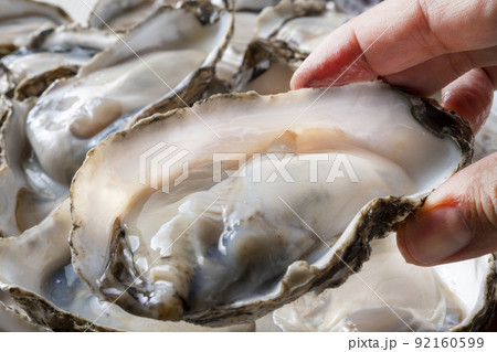 新鮮で美味しい牡蠣 新鮮で美味しい牡蠣 92160599
