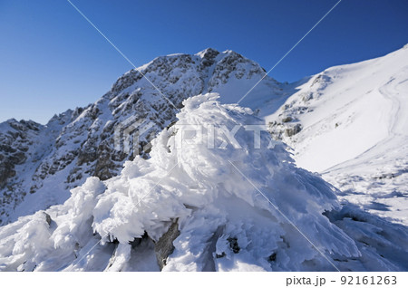 霧氷と龍王岳 霧氷と龍王岳 92161263