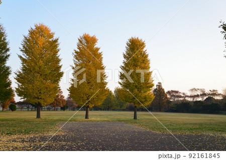 長砂公園へ行きました　＃61 92161845