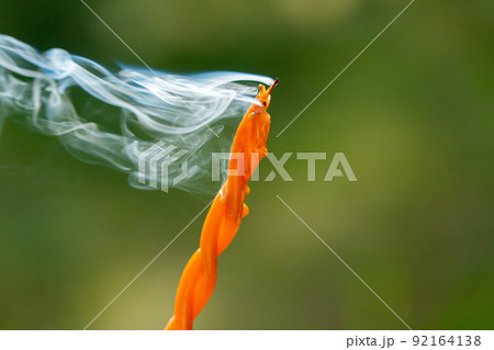 close up of smoking swirl candle in forest close up of smoking swirl candle in forest 92164138