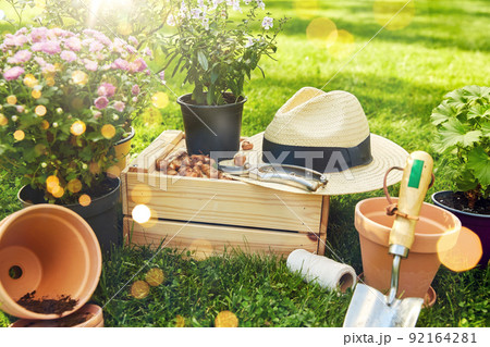 garden tools, wooden box and flowers at summer 92164281