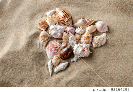 different sea shells on beach sand different sea shells on beach sand 92164292