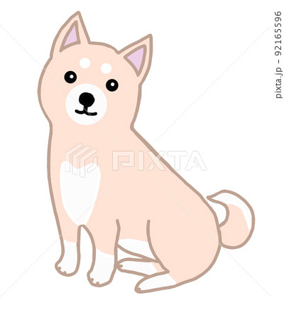かわいい日本犬のイラストのイラスト素材