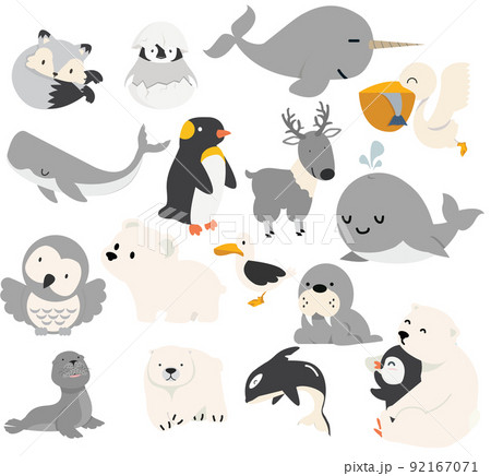 動物画集 ANIMALS イラスト集 動物の絵 Paintings of Animals｜青幻舎 SEIGENSHA Art