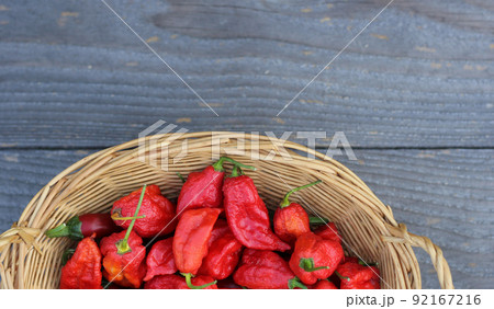 Basket of Fresh Bhut Jolokia Ghost Chili Peppers at rural farmers market Basket of Fresh Bhut Jolokia Ghost Chili Peppers at rural farmers market 92167216