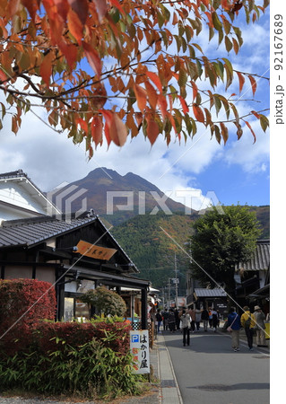 [定額] 秋の湯の坪街道と由布岳 92167689