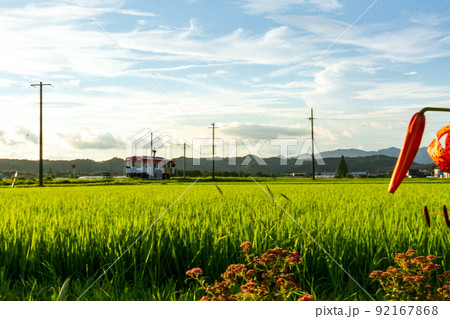静岡県掛川市細谷 天竜浜名湖鉄道と沿線の風景 静岡県掛川市細谷 天竜浜名湖鉄道と沿線の風景 92167868