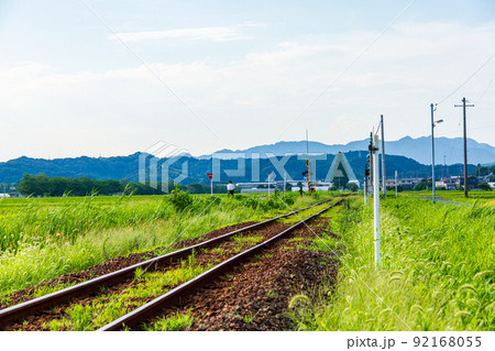 静岡県掛川市細谷 天竜浜名湖鉄道と沿線の風景 静岡県掛川市細谷 天竜浜名湖鉄道と沿線の風景 92168055